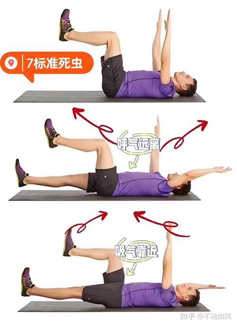健身私教：私人定制的健康之道
